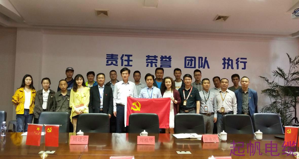 起帆電纜，電線電纜